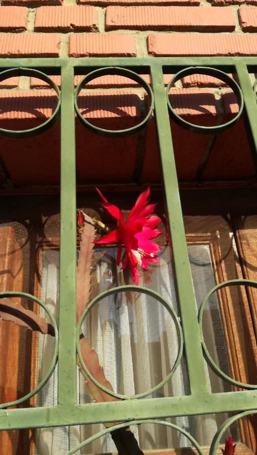 Lo De Su Bed and Breakfast Salta Exteriör bild